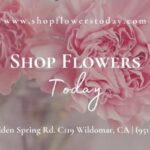 Shop Flowers Today / Lorenzo Cruz