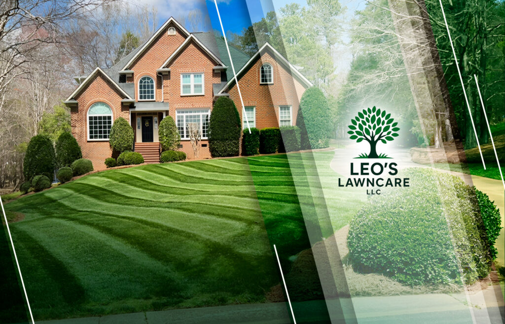 LEO´S LAWNCARE LLC / Fausto Hernández