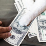 Como Ahorrar Dinero Si Tienes Mascotas