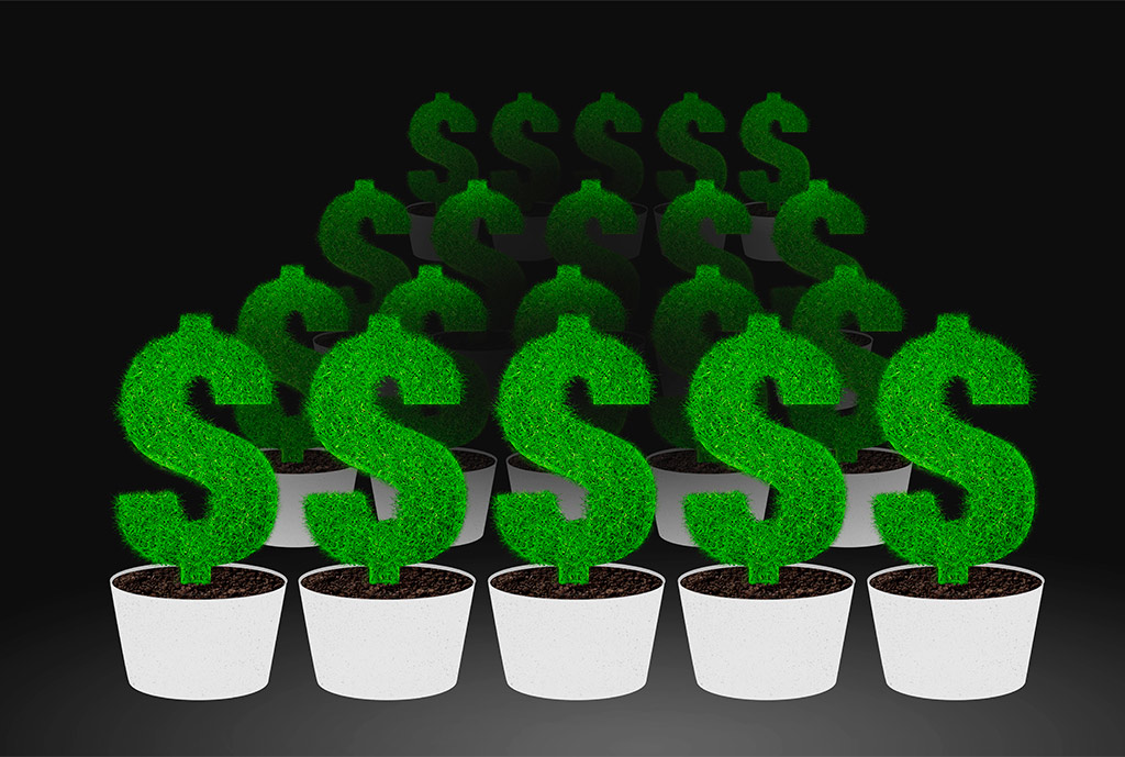 Cómo Hacer Que Tu Dinero Crezca A Largo Plazo